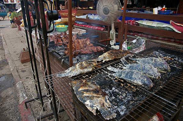 IMGP2687.jpg IMGP2687.jpg