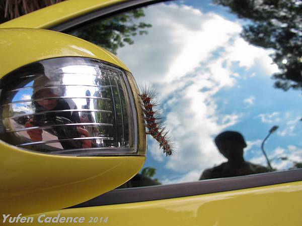 IMG_6830-3 IMG_6830-3