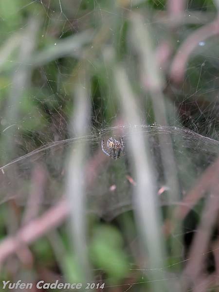 IMG_6836-2 IMG_6836-2