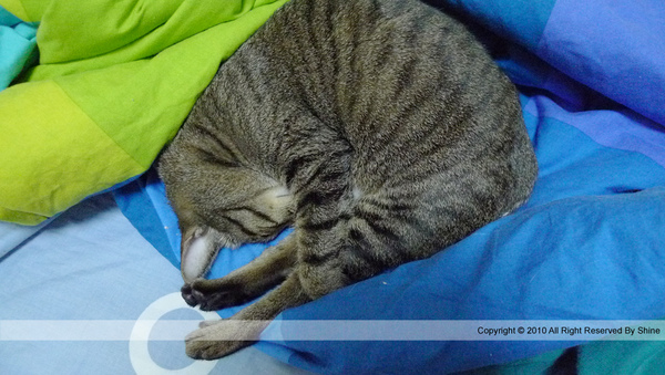 P1070907_revised.jpg P1070907_revised.jpg