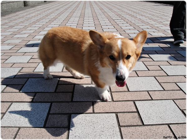 10.01.19 (盧卡斯)