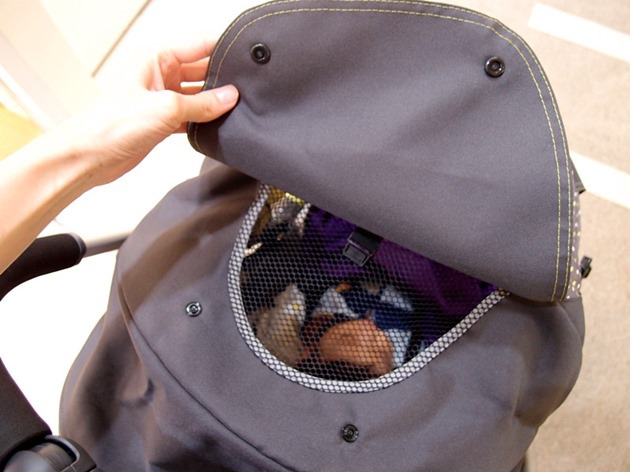 P4206387_副本 P4206387_副本