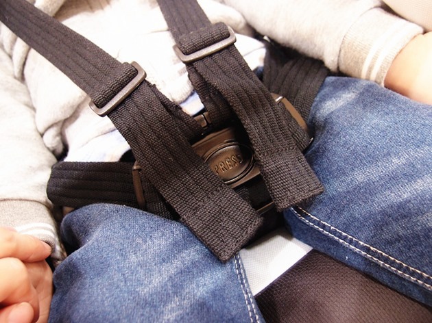 P4206426_副本 P4206426_副本