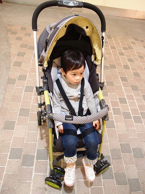 P4206398_副本 P4206398_副本