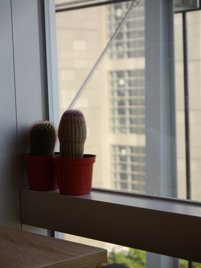 │食。台北天母│是美食也是一種生活享受的omo café早午餐/下午茶 │食。台北天母│是美食也是一種生活享受的omo café早午餐/下午茶