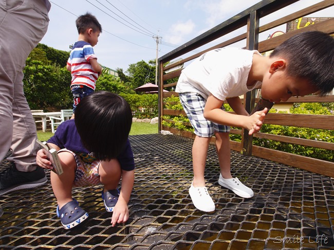 │食。頭份│儷池咖啡屋。自然鄉村童趣餐廳。草坪、餵魚親子近郊首選