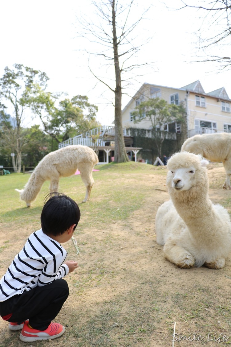 ▌桃園▌美拍秘境「富田花園農場」親子草坪、野餐、騎車、餵動物…還有萌萌草泥馬愛自拍。超殺底片！