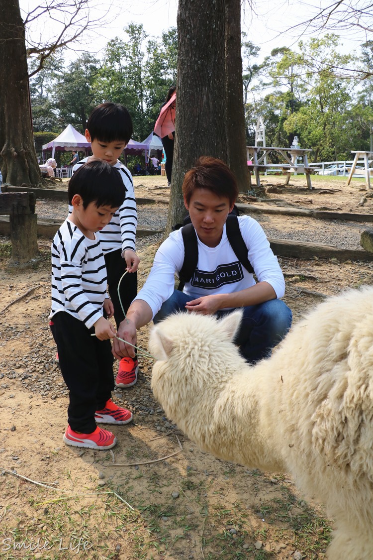 ▌桃園▌美拍秘境「富田花園農場」親子草坪、野餐、騎車、餵動物…還有萌萌草泥馬愛自拍。超殺底片！