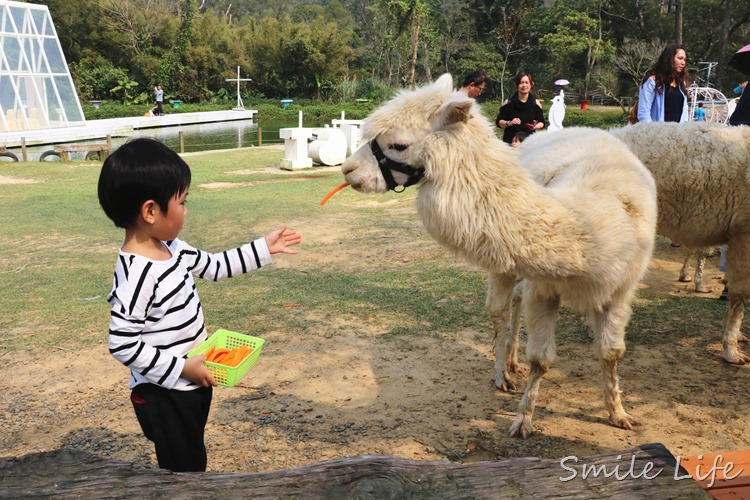 ▌桃園▌美拍秘境「富田花園農場」親子草坪、野餐、騎車、餵動物…還有萌萌草泥馬愛自拍。超殺底片！