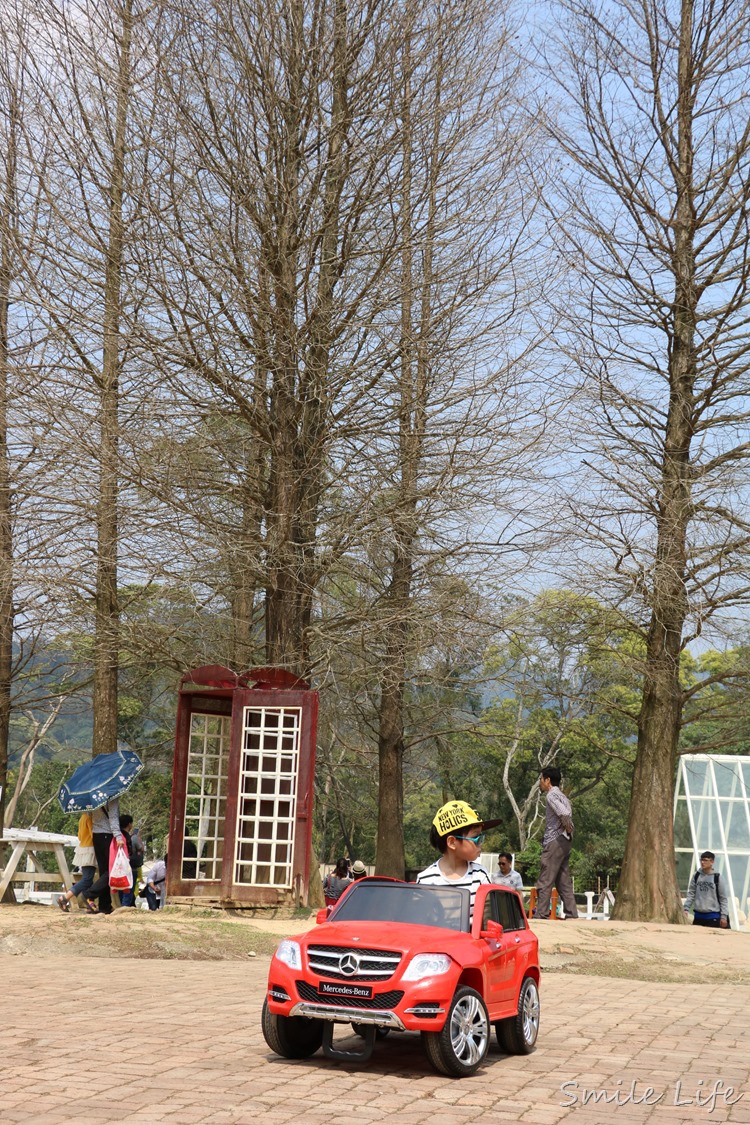 ▌桃園▌美拍秘境「富田花園農場」親子草坪、野餐、騎車、餵動物…還有萌萌草泥馬愛自拍。超殺底片！