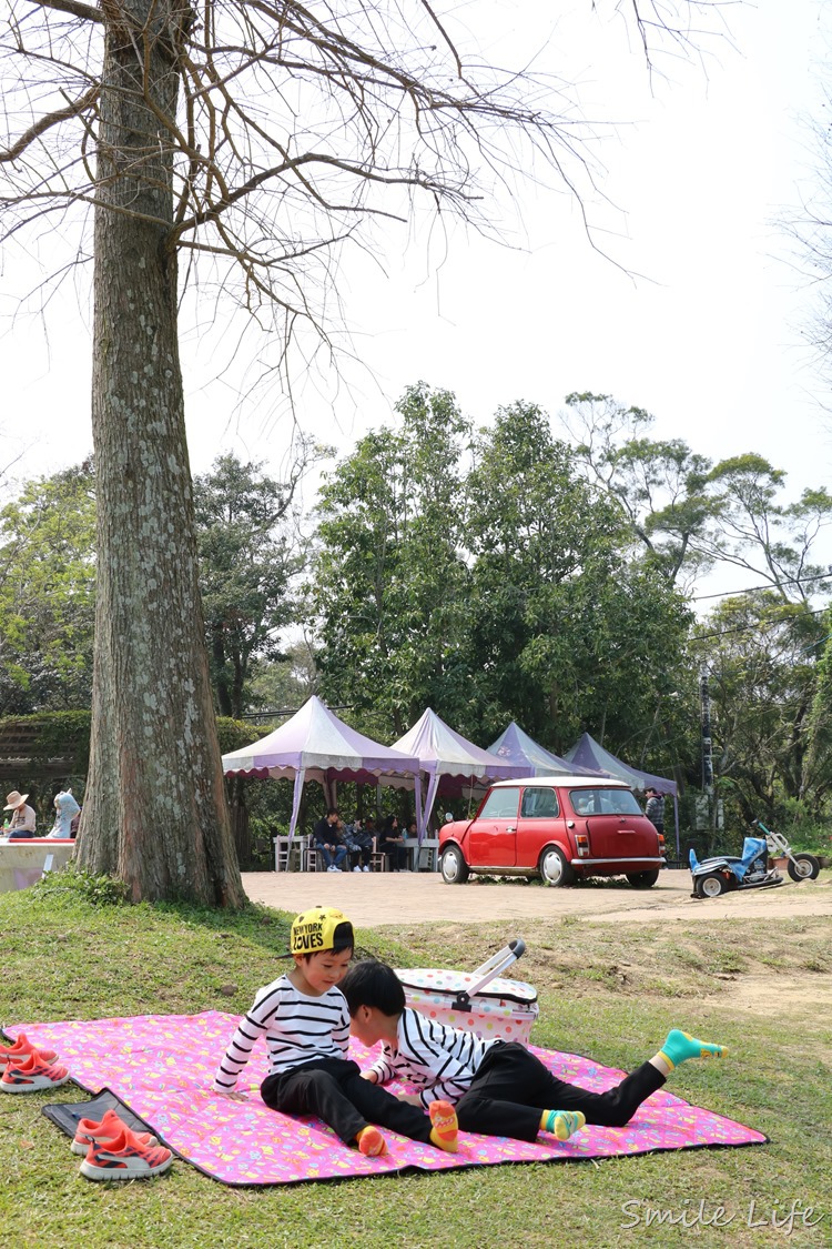 ▌桃園▌美拍秘境「富田花園農場」親子草坪、野餐、騎車、餵動物…還有萌萌草泥馬愛自拍。超殺底片！