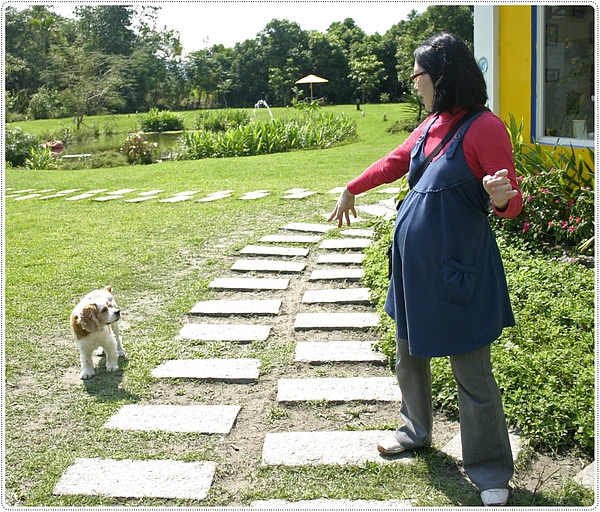 小米29W.JPG 小米29W.JPG