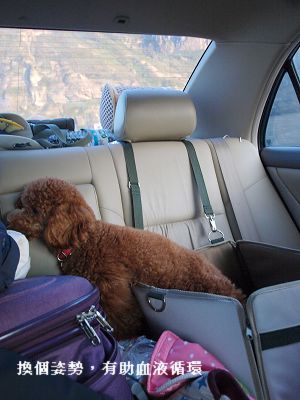 P2025582-1.jpg P2025582-1.jpg