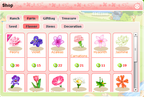 2009083105　Facebook上的Sunshine Ranch（購物）