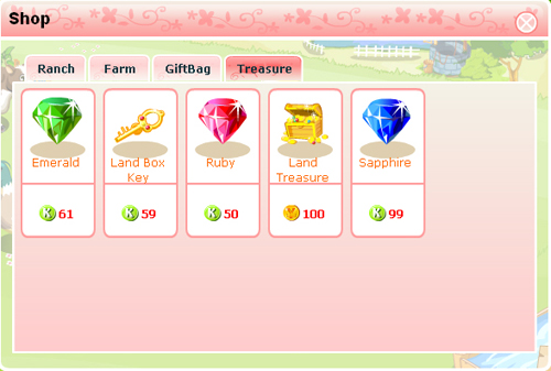 2009083112　Facebook上的Sunshine Ranch（購物）