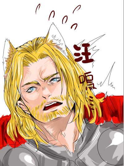 in thor0-3 in thor0-3