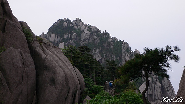 黃山千島湖杭州八天 239.jpg