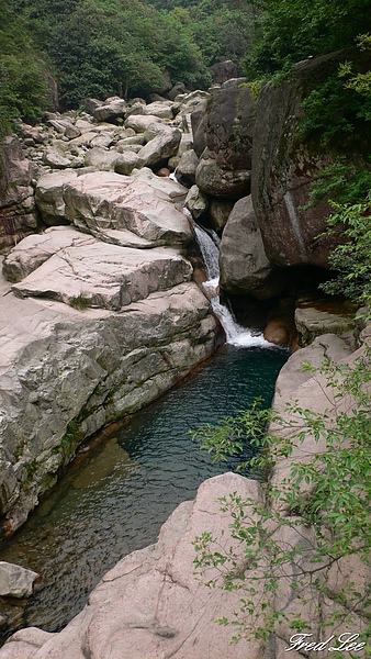 黃山千島湖杭州八天 383.jpg