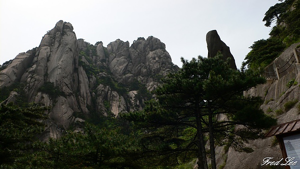 黃山千島湖杭州八天 120.jpg