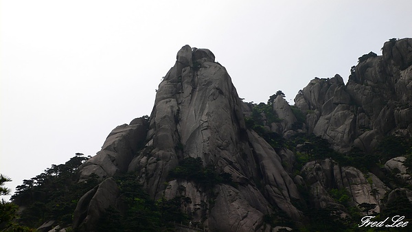 黃山千島湖杭州八天 107.jpg