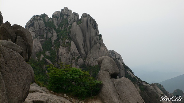 黃山千島湖杭州八天 290.jpg