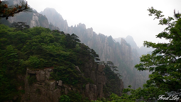 黃山千島湖杭州八天 426.jpg