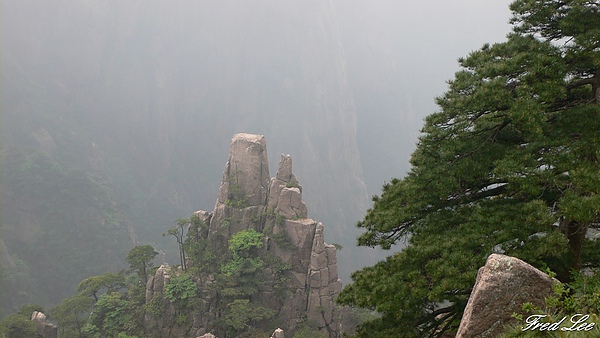 黃山千島湖杭州八天 393.jpg