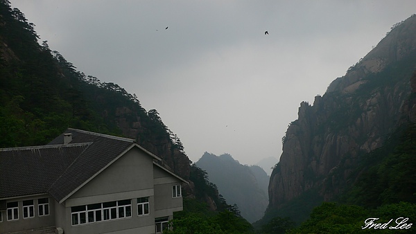 黃山千島湖杭州八天 358.jpg