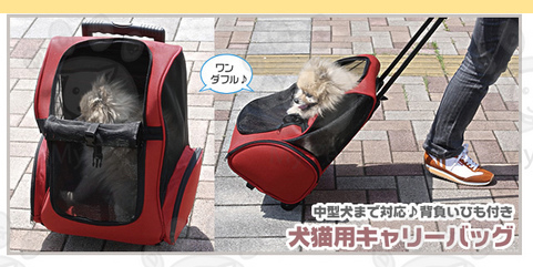 寵物實用外出袋多用途