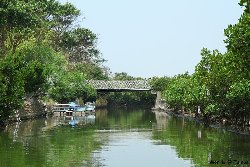 四草綠色隧道 (1)