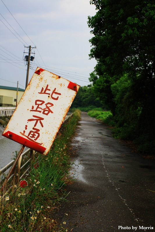 夏日大挑 Day 20.JPG