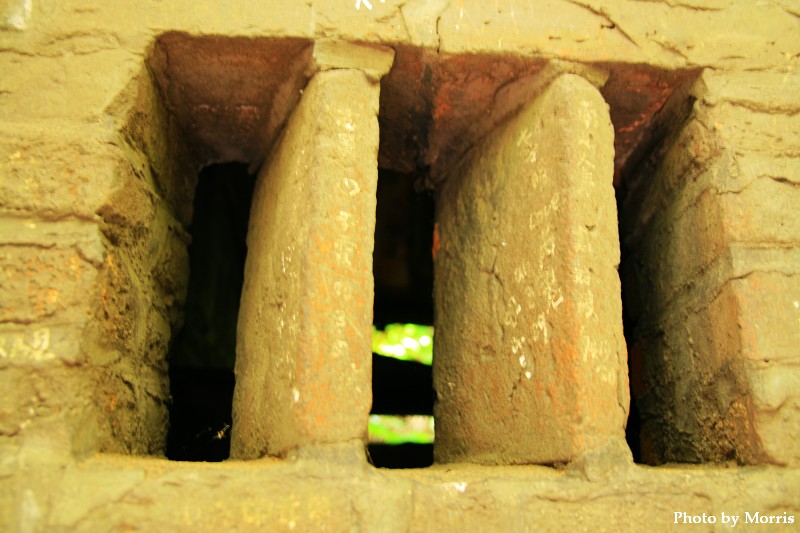 夏日大挑 Day 25 (3).JPG