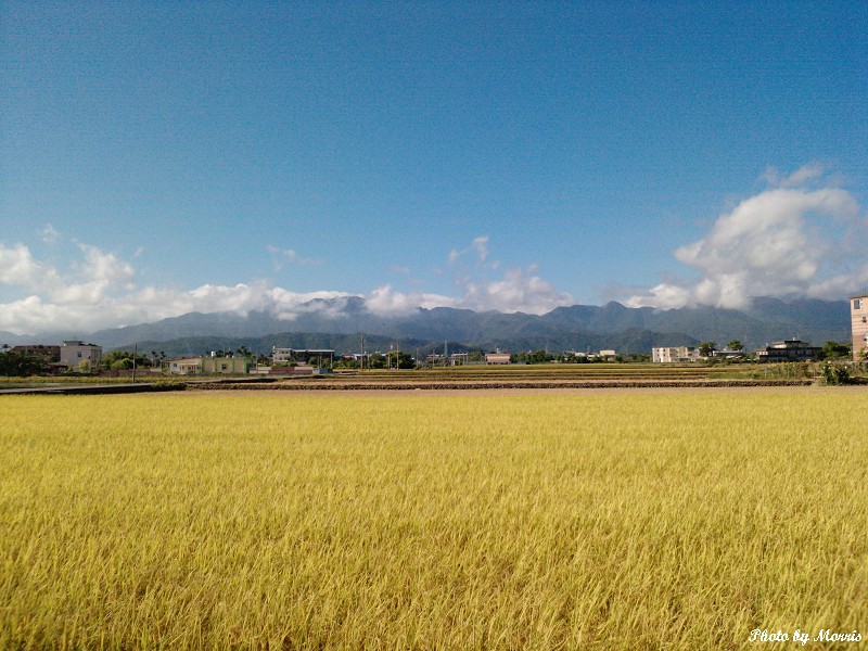 宜蘭三星鄉 (08).jpg