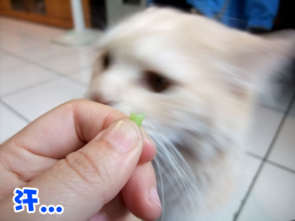 20130120_10 20130120_10