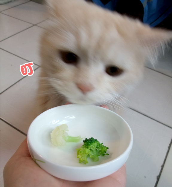 20130120_01 20130120_01