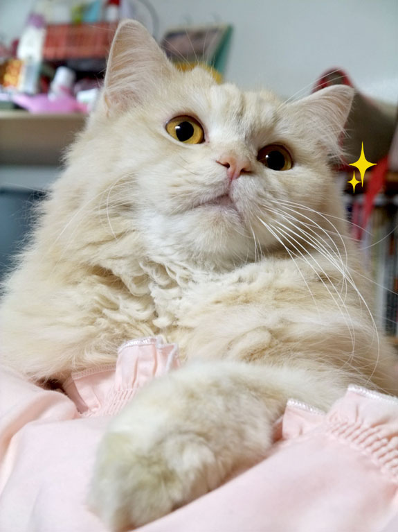 20140206_15 20140206_15