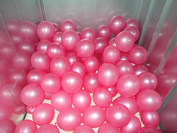 我的秘密花園大典藏家迷你倉(個人倉庫) 我的秘密花園大典藏家迷你倉(個人倉庫)