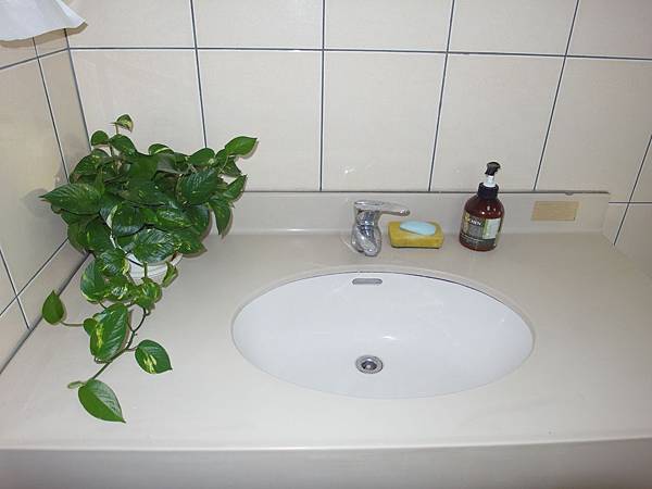 我的秘密花園大典藏家迷你倉(個人倉庫) 我的秘密花園大典藏家迷你倉(個人倉庫)