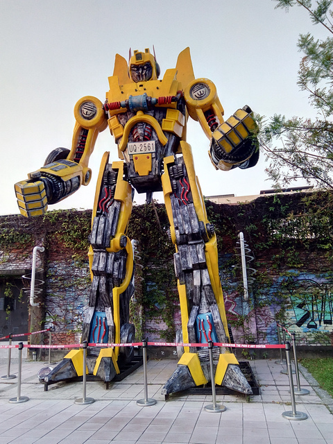 72 72