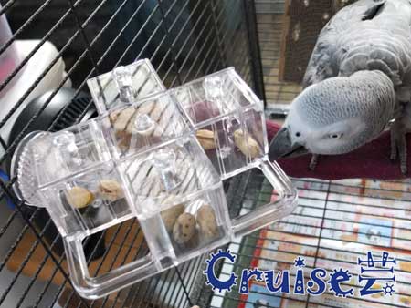 DSCF9085 DSCF9085
