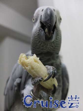 DSCF8491 DSCF8491
