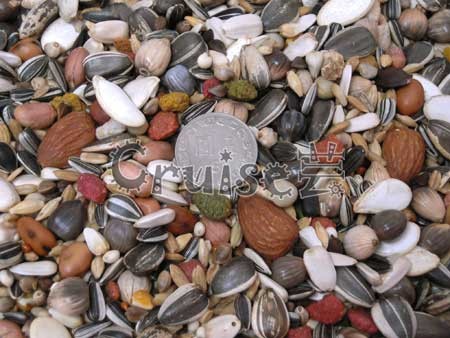 LIBITE恒欣-大型鸚鵡飼料 (2)