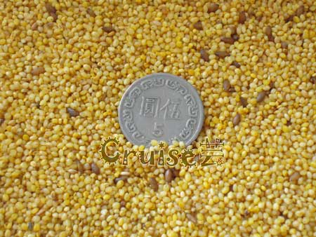 上久高級蛋黃粟2