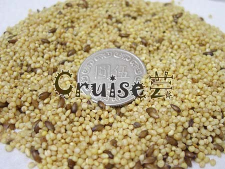 合美健-no10六個蛋-蛋黃綜合粟 (2)