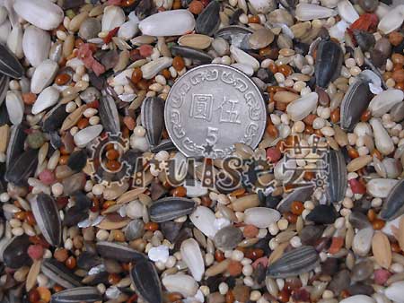 藍亞仕-中大長尾鸚鵡營養日糧 (2)