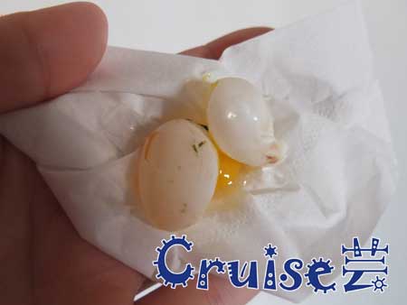 DSCF3971 DSCF3971