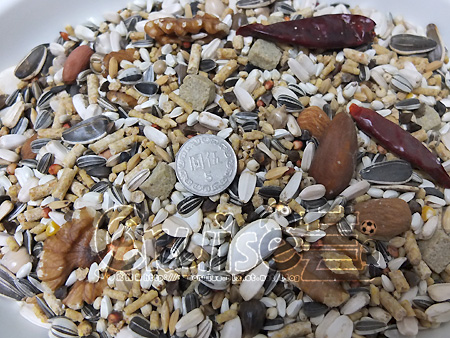 藍亞仕無色料版-(15)