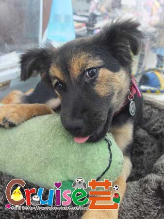 DSCF0923 DSCF0923