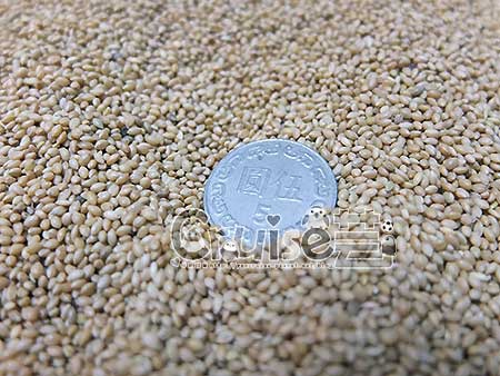 台灣製造_台產鳥飼料&鸚鵡飼料及營養補充品