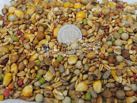 台灣製造_台產鳥飼料&鸚鵡飼料及營養補充品